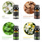 Essential Oil Set (16pcsX10ml)